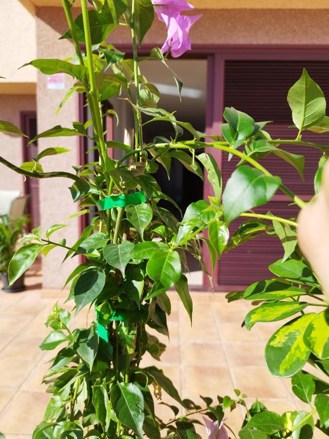 לינה וארוחת בוקר Vivienda Vacacional Compartida Radazul מראה חיצוני תמונה