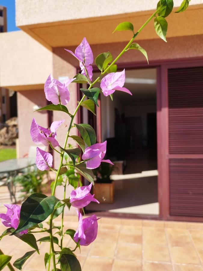 לינה וארוחת בוקר Vivienda Vacacional Compartida Radazul מראה חיצוני תמונה